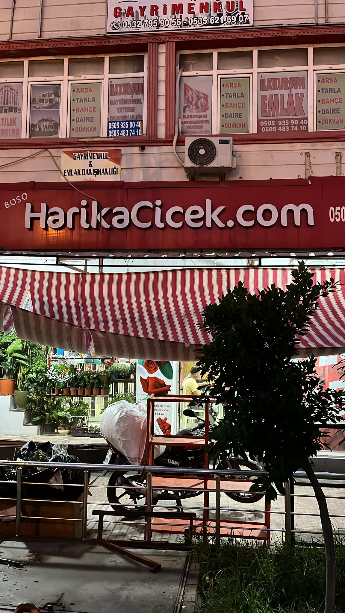 Dörtyol Harika Çiçek