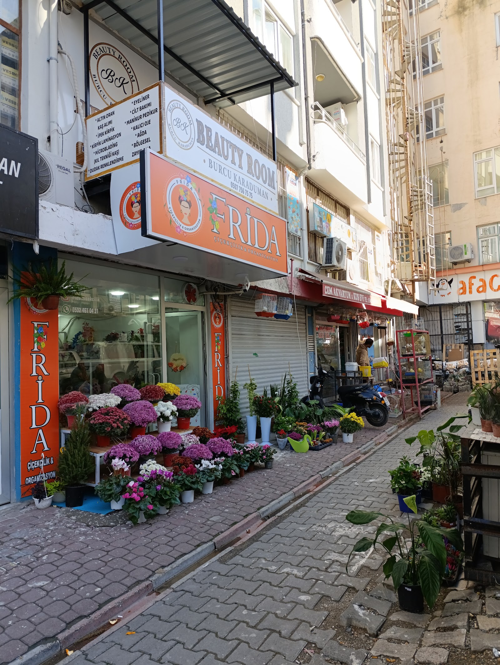 Frida Çiçekçilik Ve Organizasyon kır düğünü mekanı