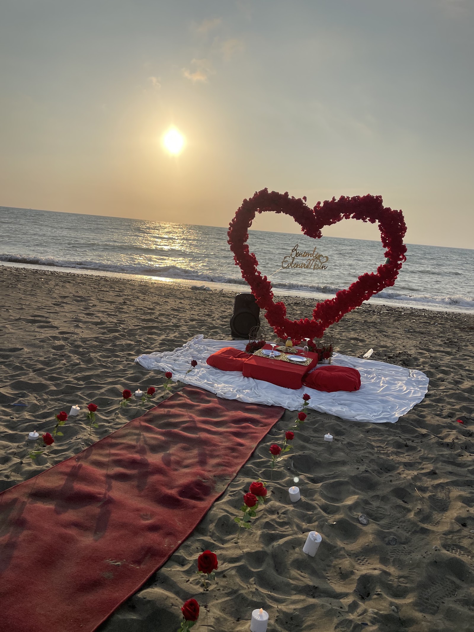 İskenderun kuzey organizasyon