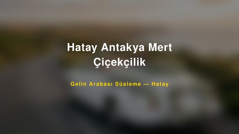 Hatay Antakya Mert Çiçekçilik Hatay Gelin Arabası Süsleme