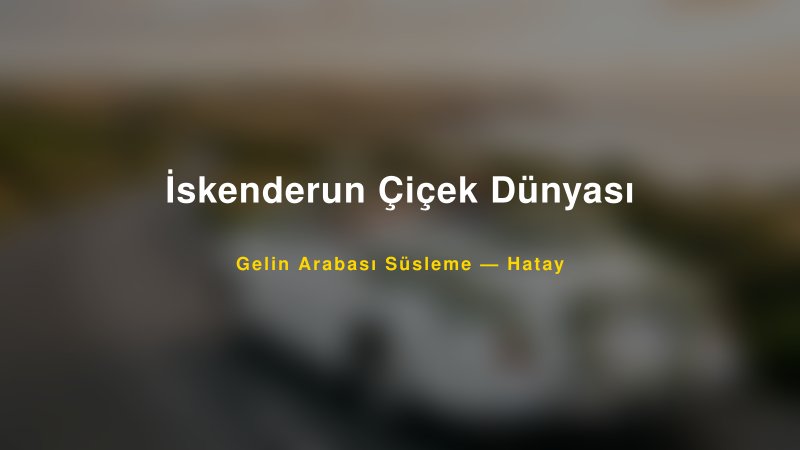 İskenderun Çiçek Dünyası Hatay Gelin Arabası Süsleme